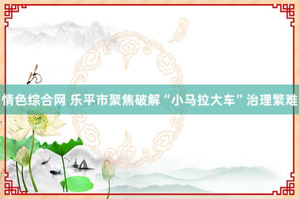 情色综合网 乐平市聚焦破解“小马拉大车”治理繁难
