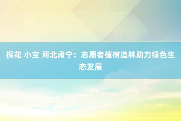 探花 小宝 河北肃宁：志愿者植树造林助力绿色生态发展