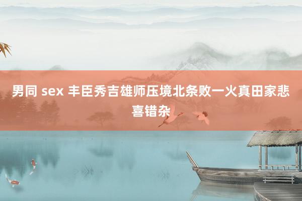 男同 sex 丰臣秀吉雄师压境北条败一火真田家悲喜错杂
