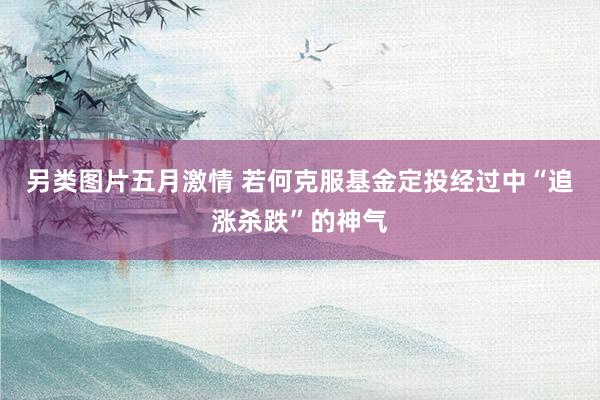 另类图片五月激情 若何克服基金定投经过中“追涨杀跌”的神气