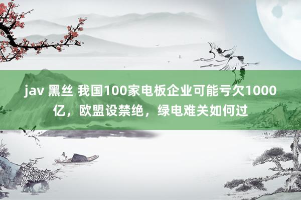 jav 黑丝 我国100家电板企业可能亏欠1000亿，欧盟设禁绝，绿电难关如何过