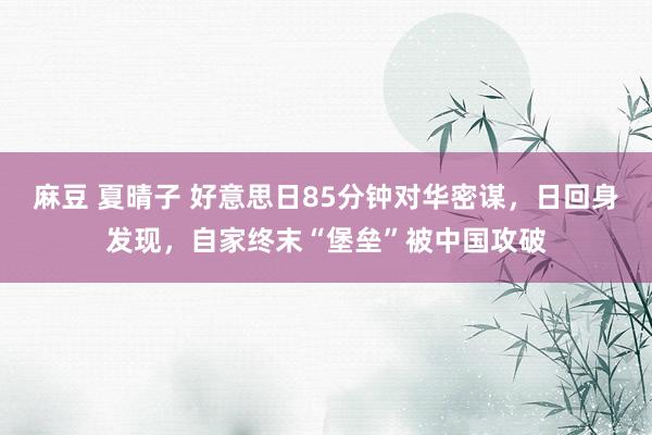 麻豆 夏晴子 好意思日85分钟对华密谋，日回身发现，自家终末“堡垒”被中国攻破