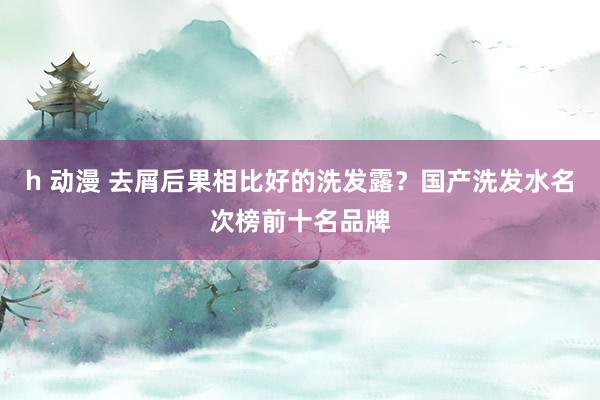 h 动漫 去屑后果相比好的洗发露？国产洗发水名次榜前十名品牌