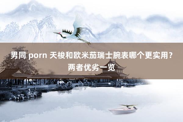 男同 porn 天梭和欧米茄瑞士腕表哪个更实用？两者优劣一览