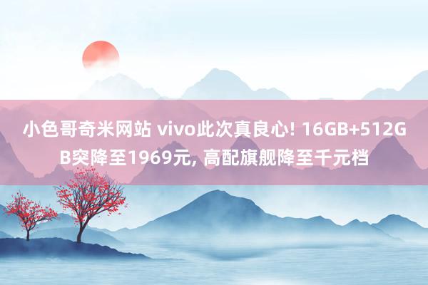小色哥奇米网站 vivo此次真良心! 16GB+512GB突降至1969元， 高配旗舰降至千元档