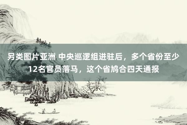 另类图片亚洲 中央巡逻组进驻后，多个省份至少12名官员落马，这个省鸠合四天通报