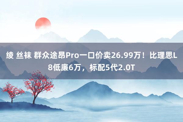 绫 丝袜 群众途昂Pro一口价卖26.99万！比理思L8低廉6万，标配5代2.0T