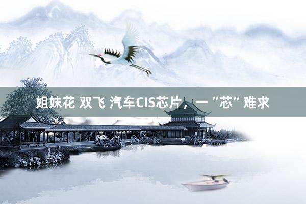 姐妹花 双飞 汽车CIS芯片，一“芯”难求