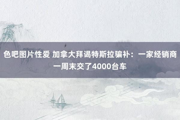 色吧图片性爱 加拿大拜谒特斯拉骗补：一家经销商一周末交了4000台车