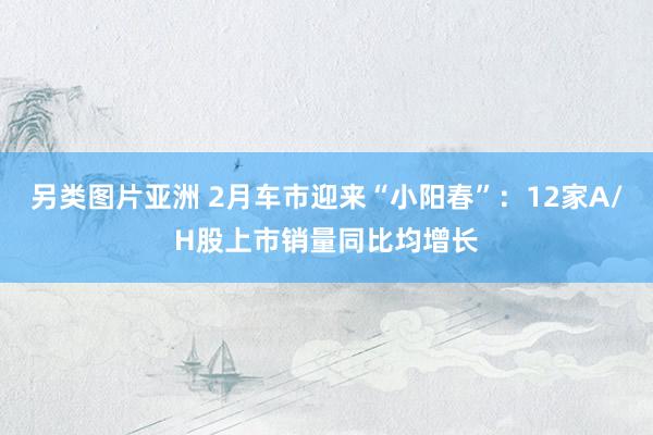 另类图片亚洲 2月车市迎来“小阳春”：12家A/H股上市销量同比均增长